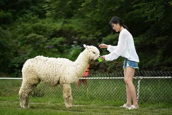57e7fe4b-[포맷변환]75a9b2_eb2ffddddb3746e482b210fe83c199bc~mv2